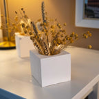 WHITE CONCRETE SQUARE POT Default Title