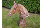 Horse Head