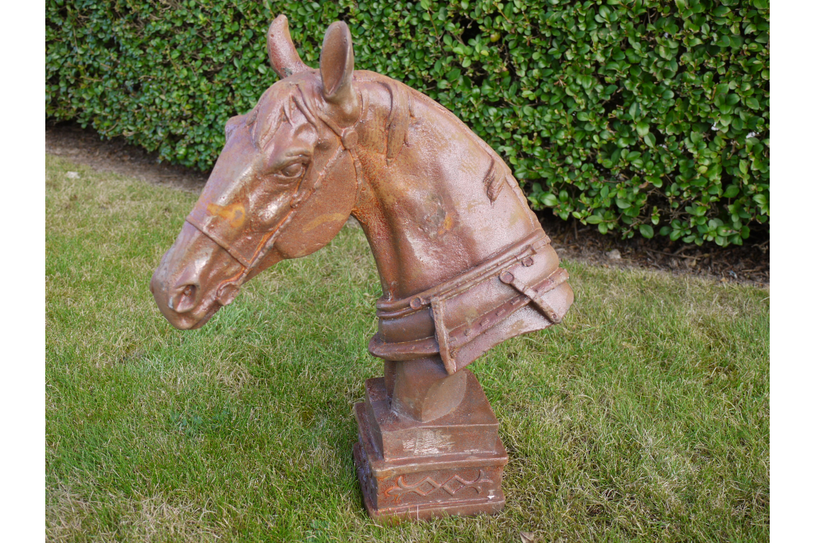 Horse Head
