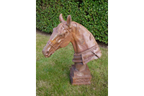 Horse Head