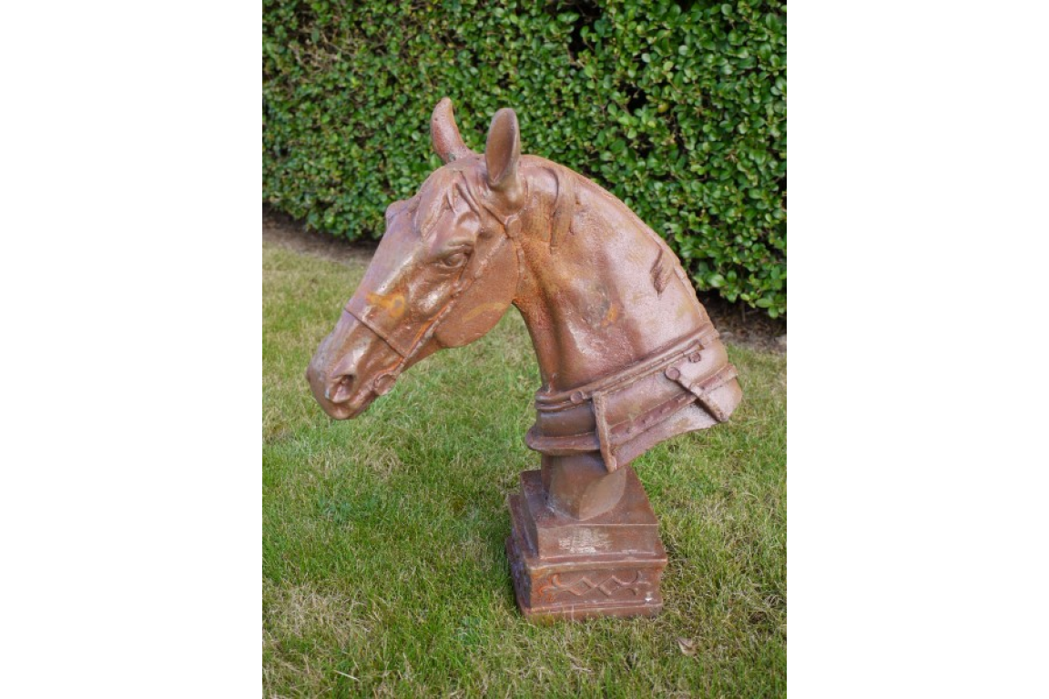 Horse Head