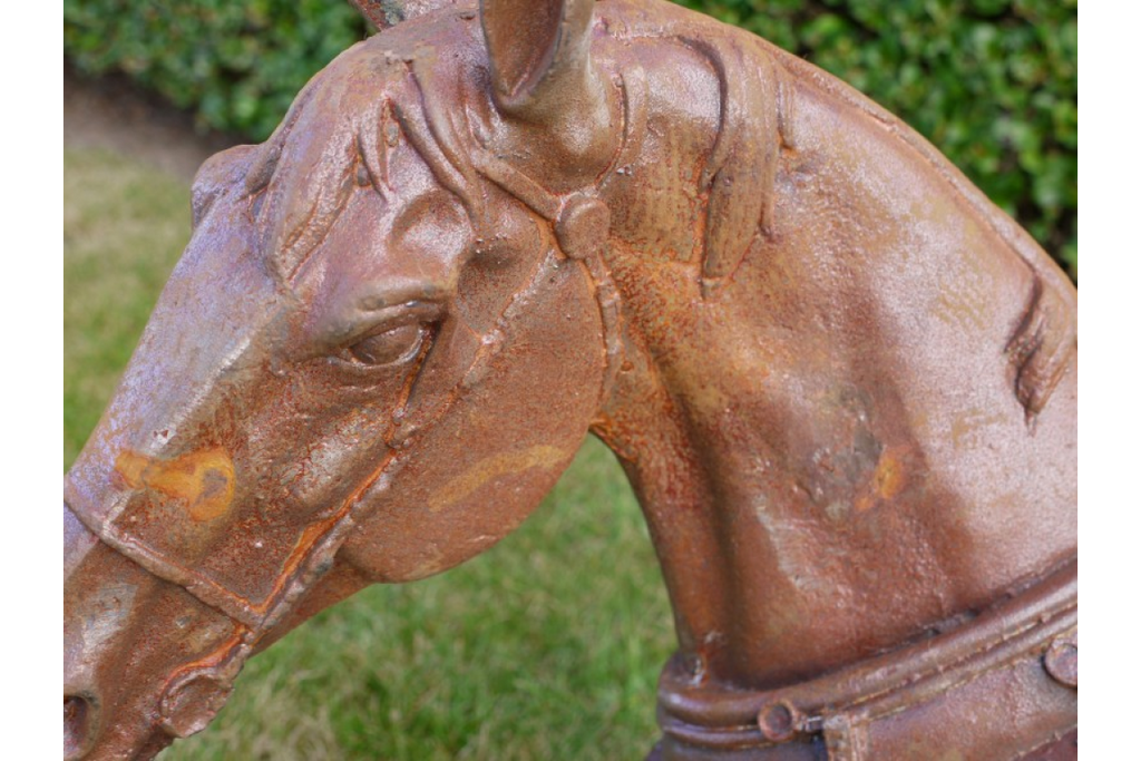 Horse Head