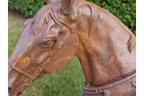 Horse Head