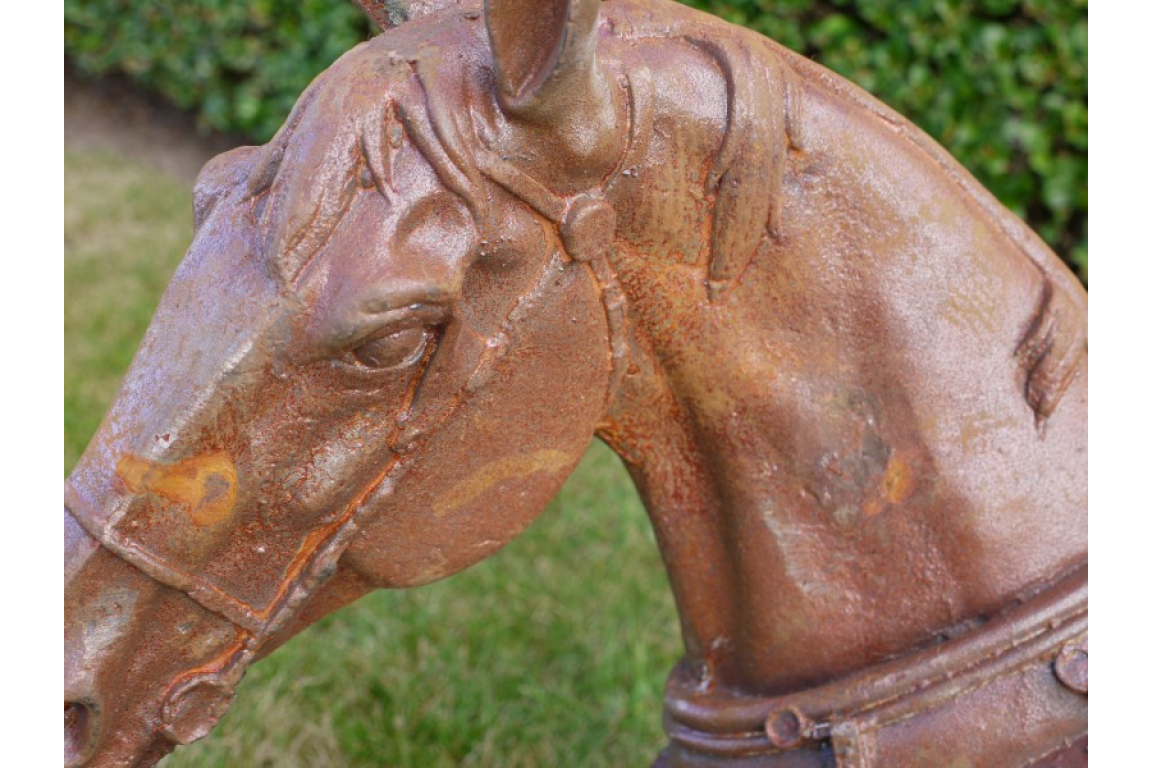 Horse Head