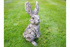 Rabbit - Wood Effect