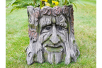 Tree Stump Planter