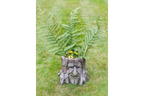 Tree Stump Planter