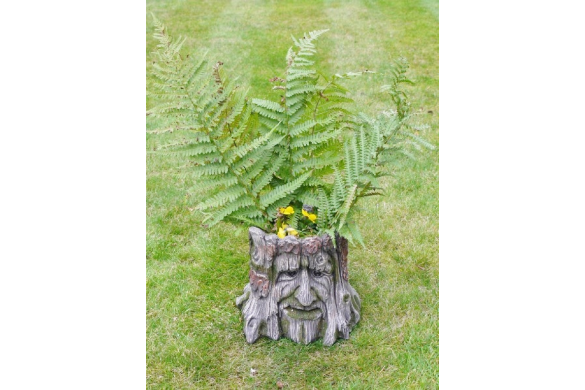 Tree Stump Planter
