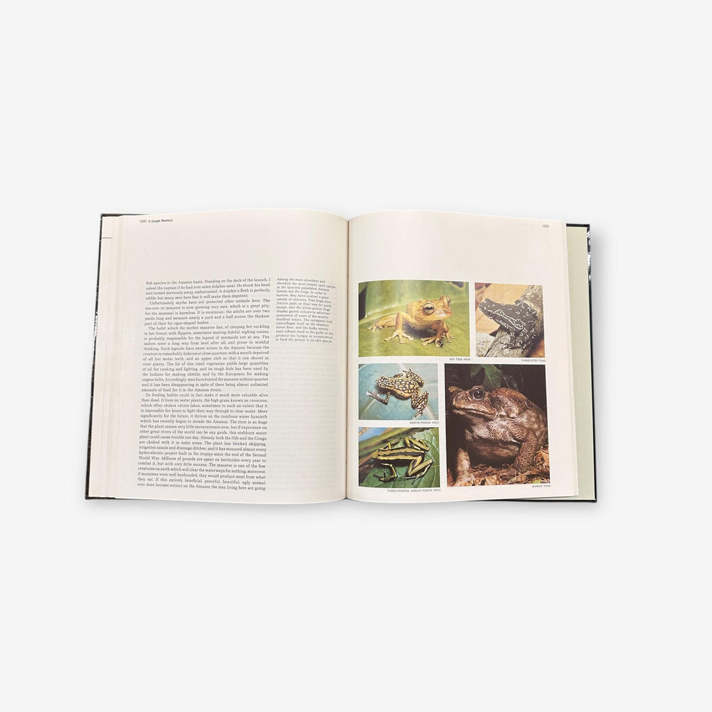The Amazon - The World's Wild Places - Hardback Book (Tom Sterling) 1973