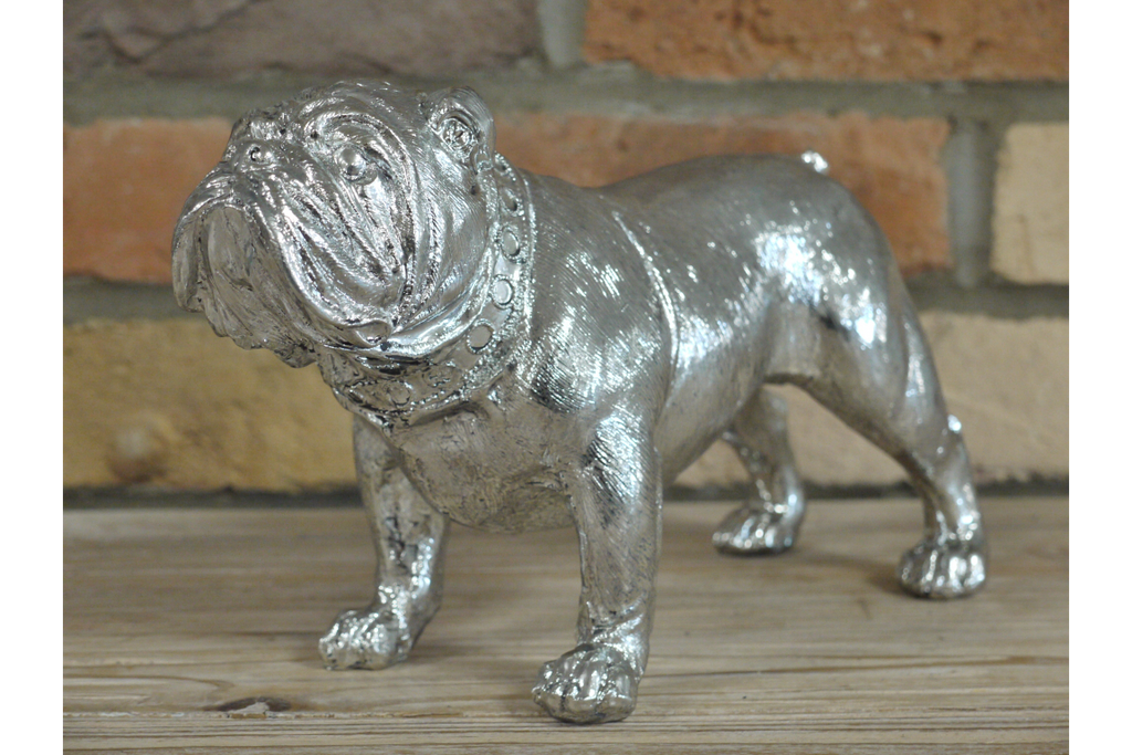 Bulldog