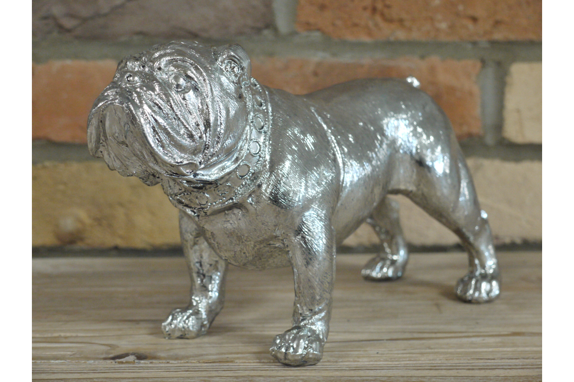 Bulldog