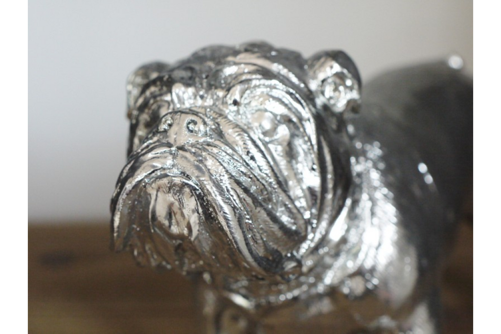 Bulldog