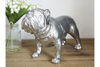 Bulldog