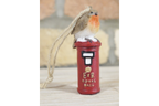 Robin On Post Box