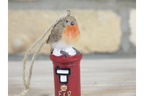Robin On Post Box