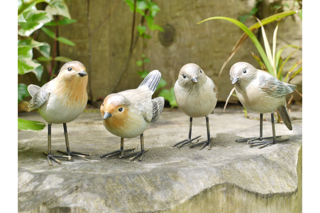 Birds
