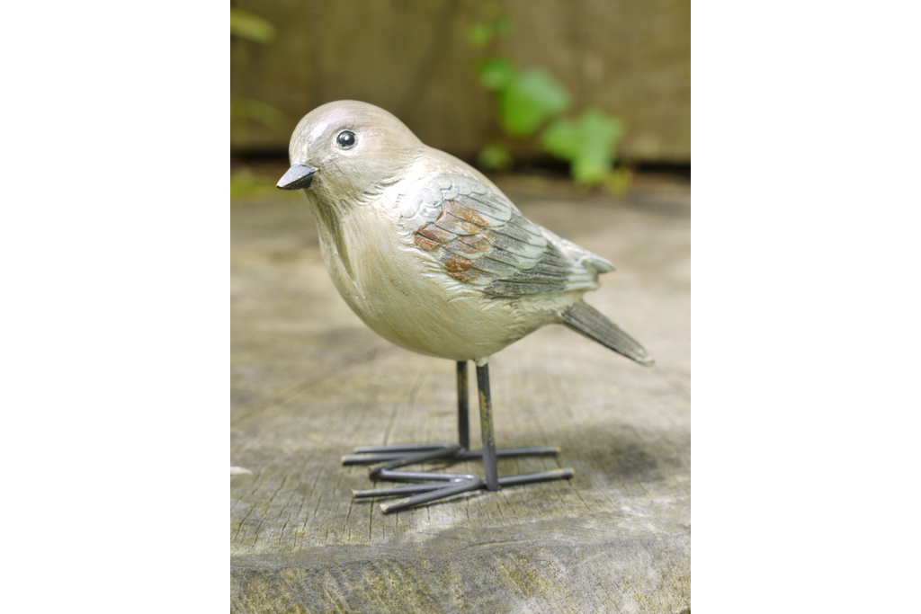 Birds