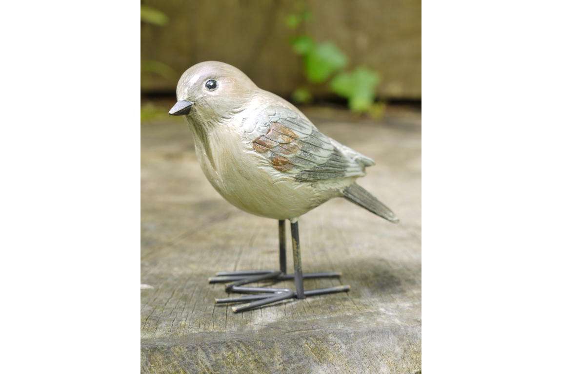 Birds