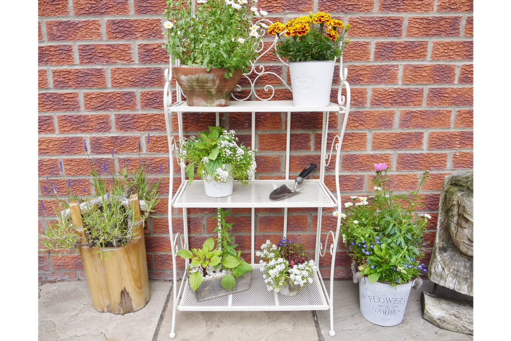 3 Tier Shelf
