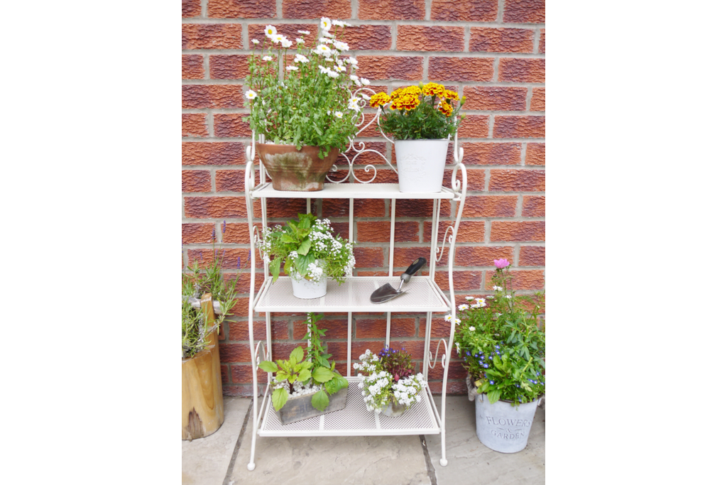 3 Tier Shelf