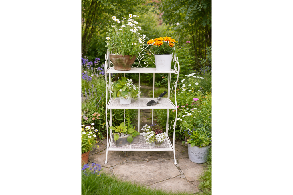 3 Tier Shelf