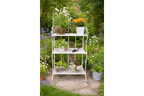 3 Tier Shelf
