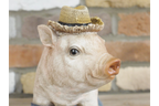 Pig In Wellies
