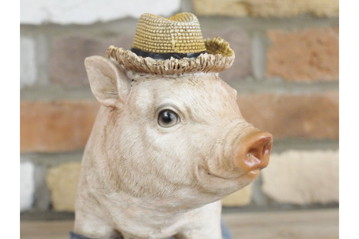 Pig In Wellies