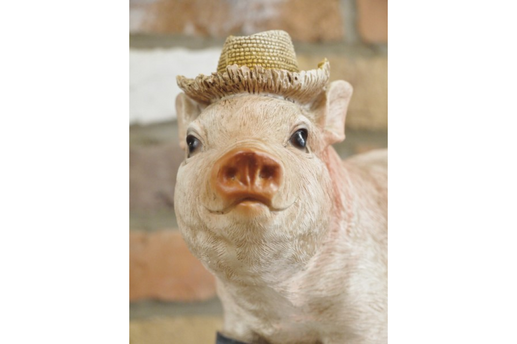 Pig In Wellies