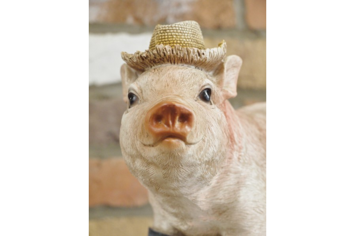 Pig In Wellies