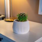 WHITE CONCRETE MUG POT