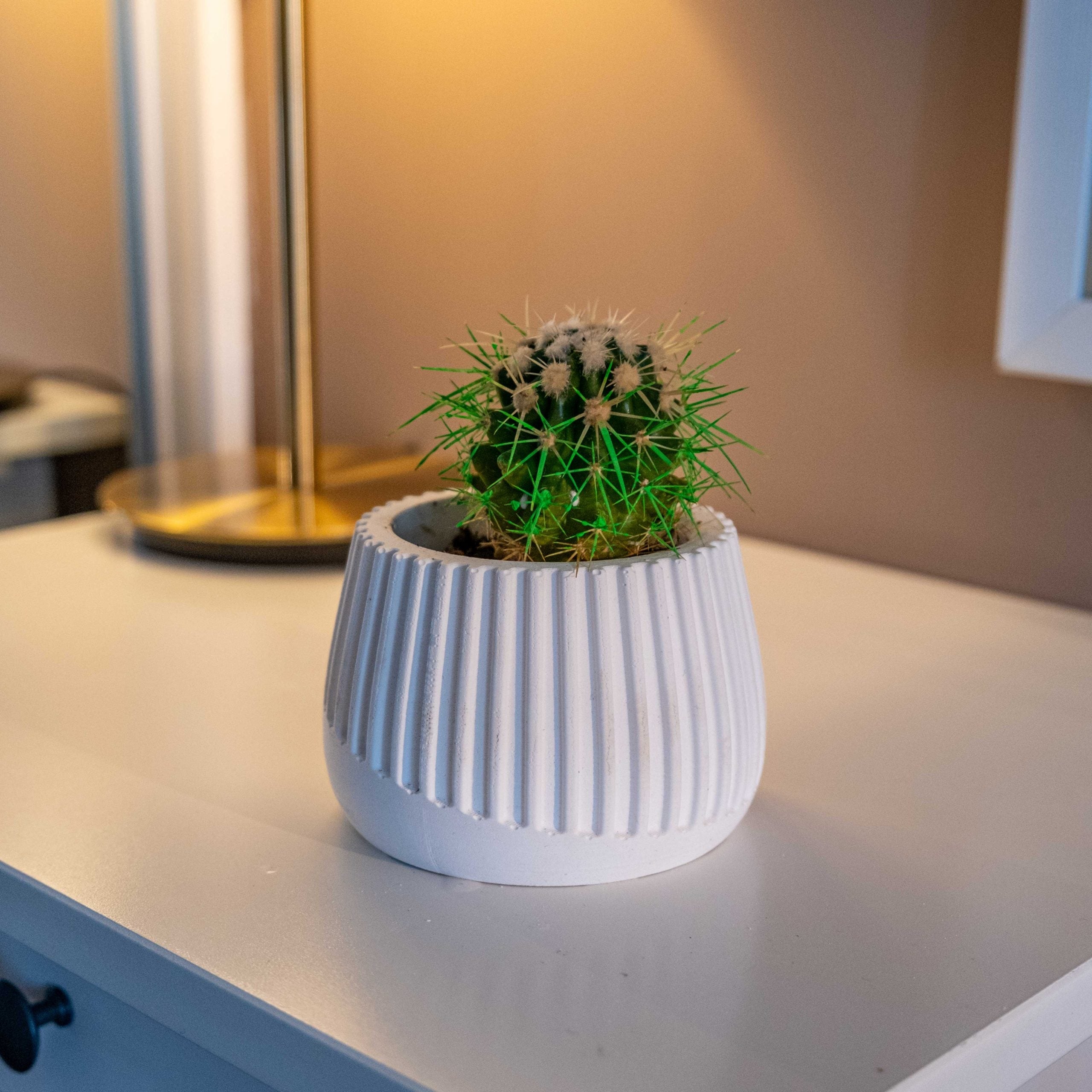 WHITE CONCRETE MUG POT