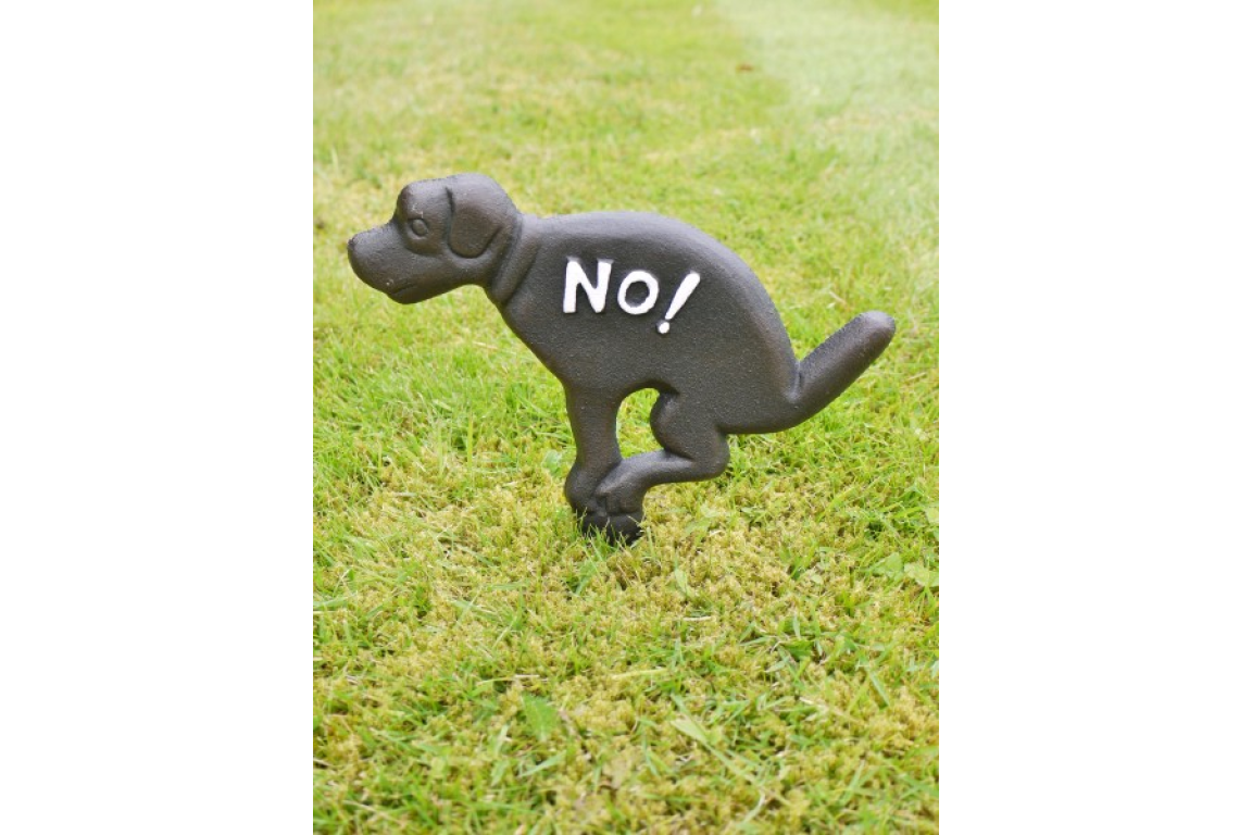 No Fouling