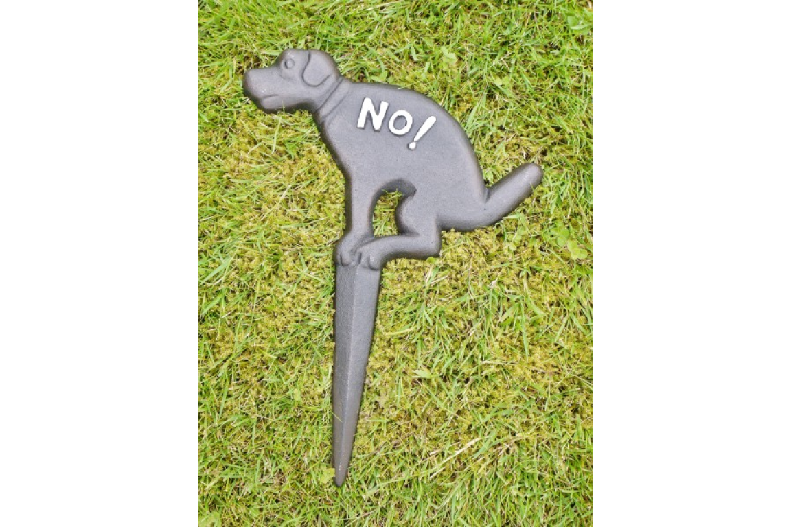 No Fouling