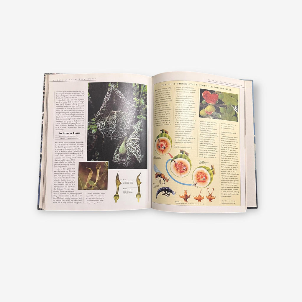 Nature's Masterpieces - The Earth, Its Wonder, Its Secrets - Hardback Book (Reader's Digest)