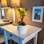 CONCRETE BIG DOLPHIN POT