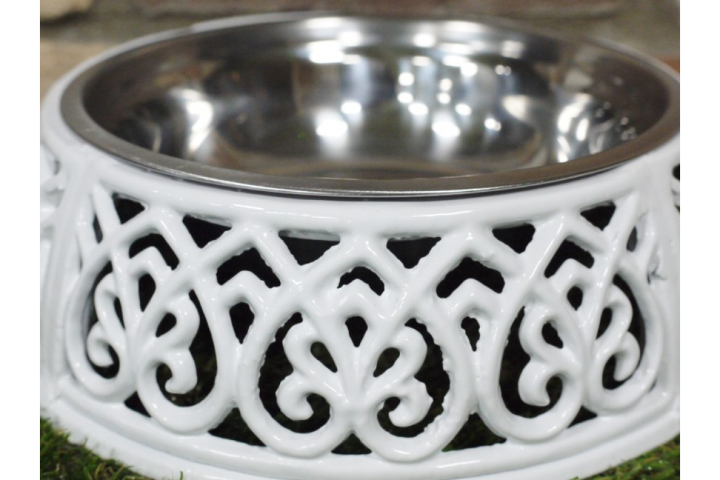 Dog Dish