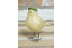 Bird with Flat Cap