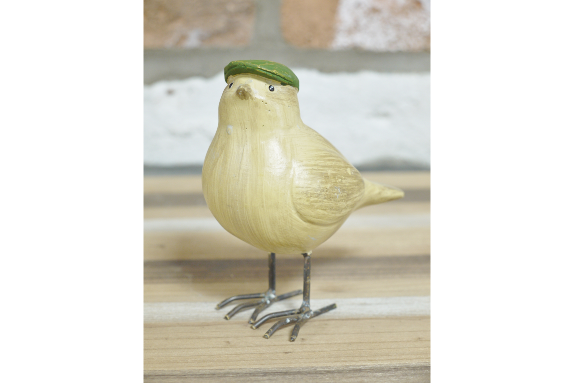 Bird with Flat Cap