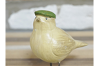 Bird with Flat Cap