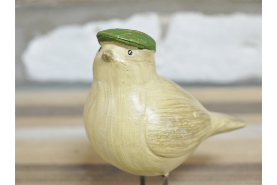 Bird with Flat Cap