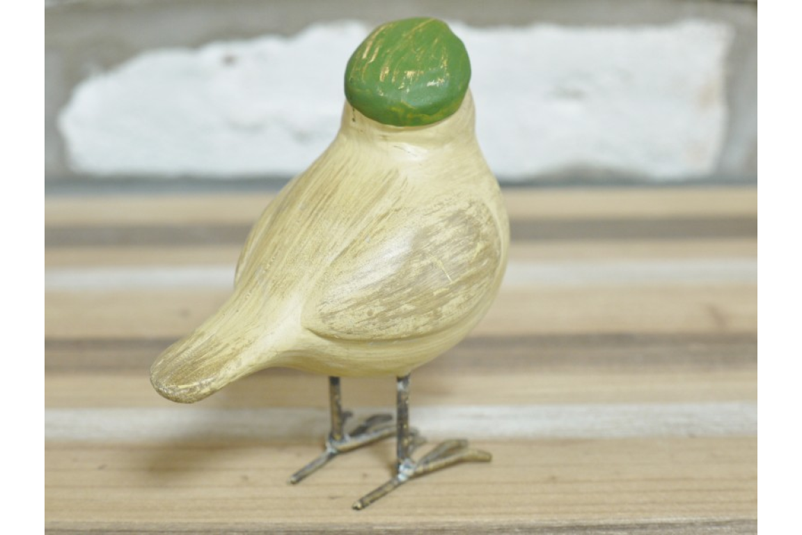 Bird with Flat Cap