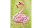 Flamingo - Large