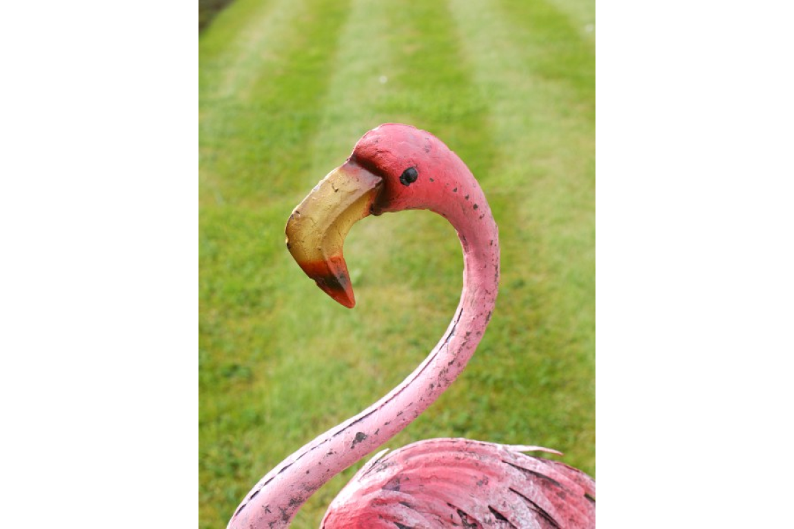 Flamingo - Large