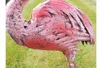 Flamingo - Large