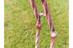 Flamingo - Large