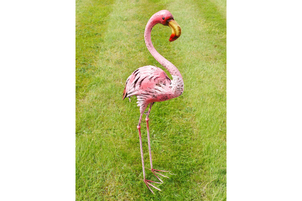 Flamingo - Small
