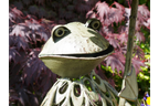 Frog Bird Feeder