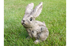 Bunny - Wood Effect