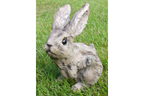 Bunny - Wood Effect